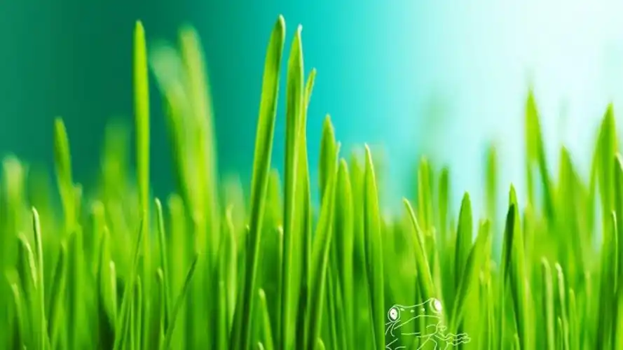 绿色护眼小清新壁纸图片