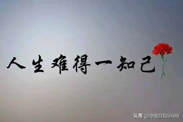 人生难得一知己千古知音最难觅大家对这句话怎么理解