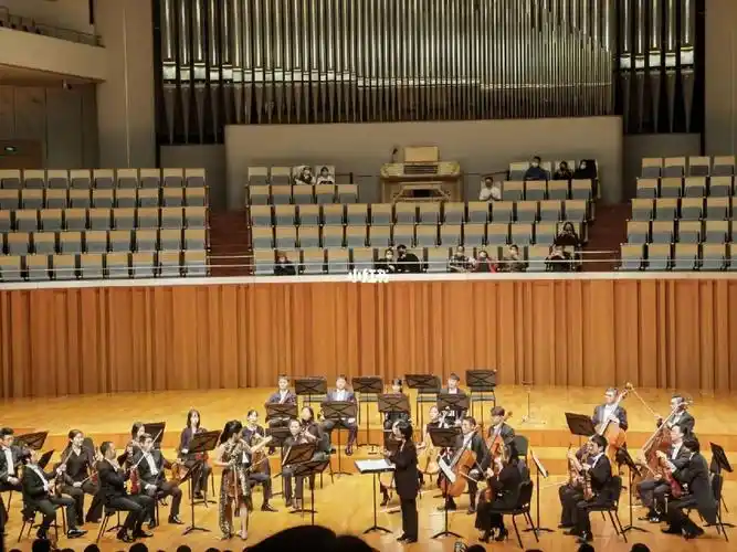 和领导看音乐会