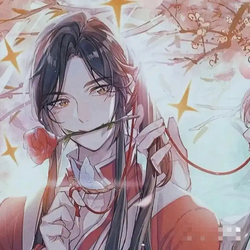 天官赐福#花城谢怜 头像 - 抖音