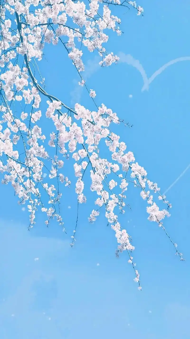 发一张你被点赞最多的照片在阳光灿烂的日子里开怀大笑