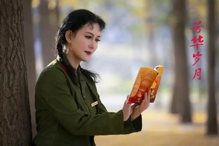 芳华岁月(军中绿花)