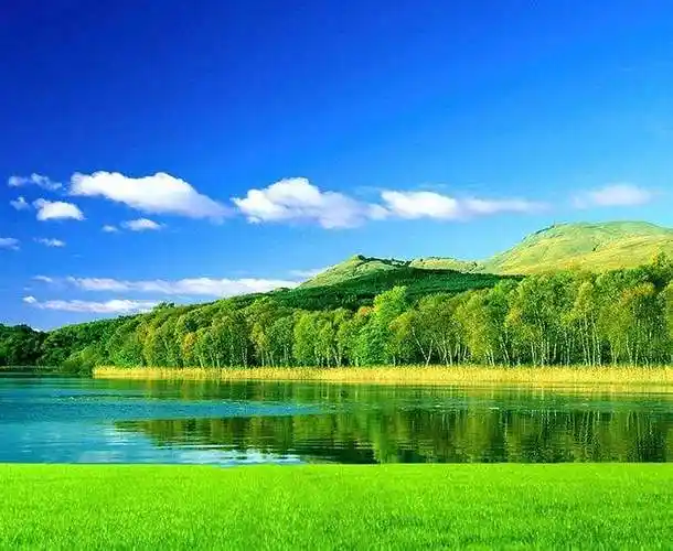 得了"鸡皮肤",都不敢穿美美的裙子,这些方法,或许能帮到你