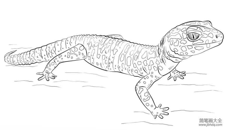 如何画豹纹壁虎