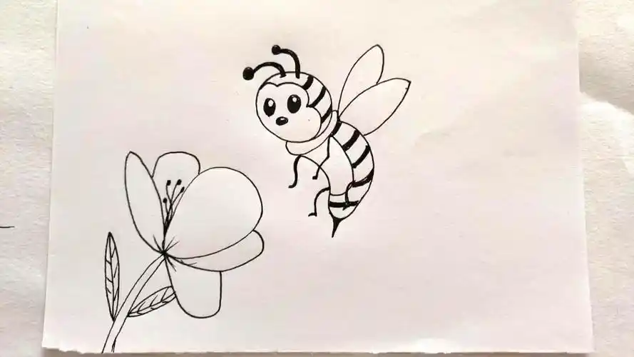 简笔画:勤劳的小蜜蜂出来采花蜜了