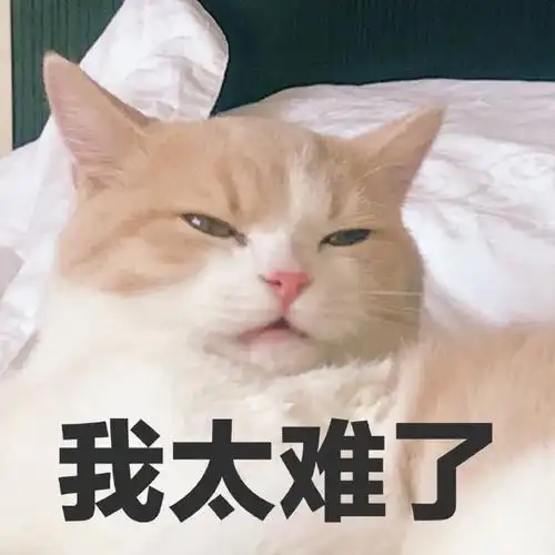 萌宠猫星人我太难了无奈呆萌可爱gif动图_动态图_表情包下载_soogif