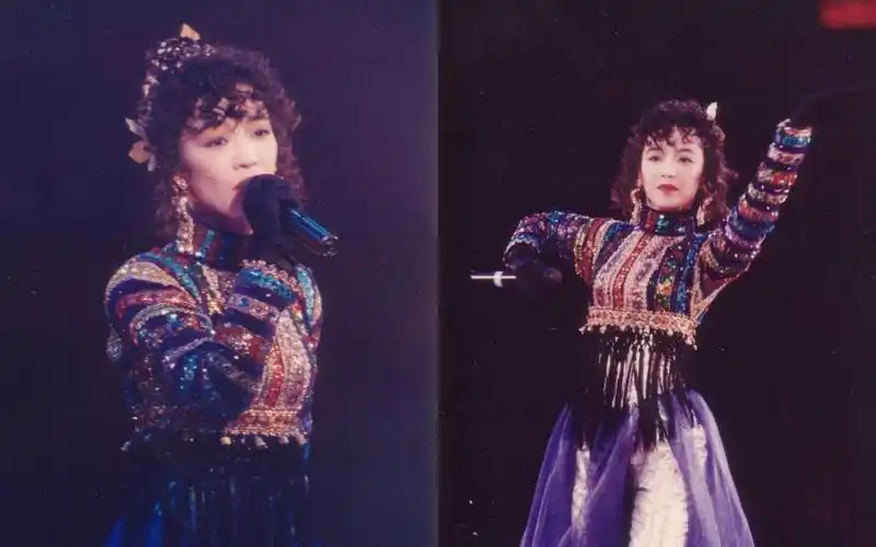 陈慧娴《夜机》"几时再见"告别演唱会版