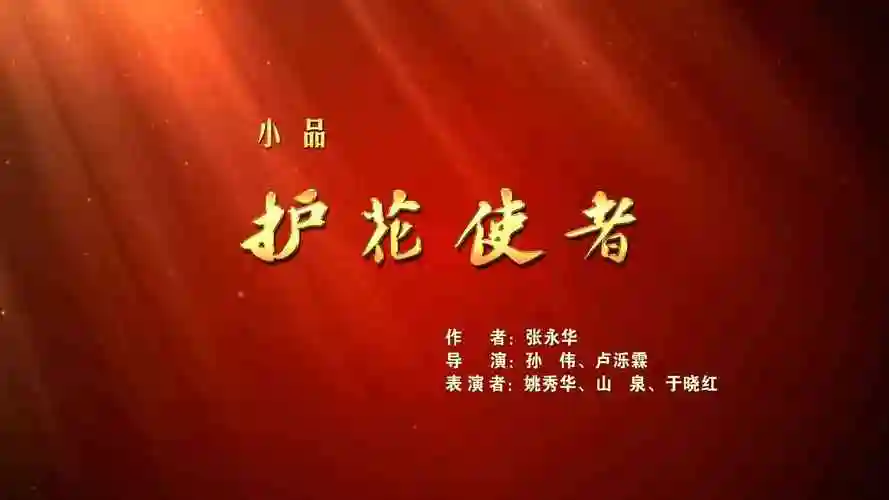 小品《护花使者》