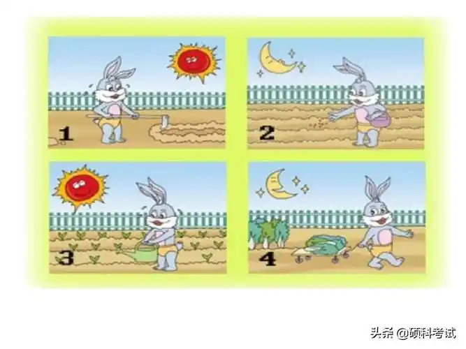 二年级看图写话图片100(二年级看图写话全集) - 赤虎壹号