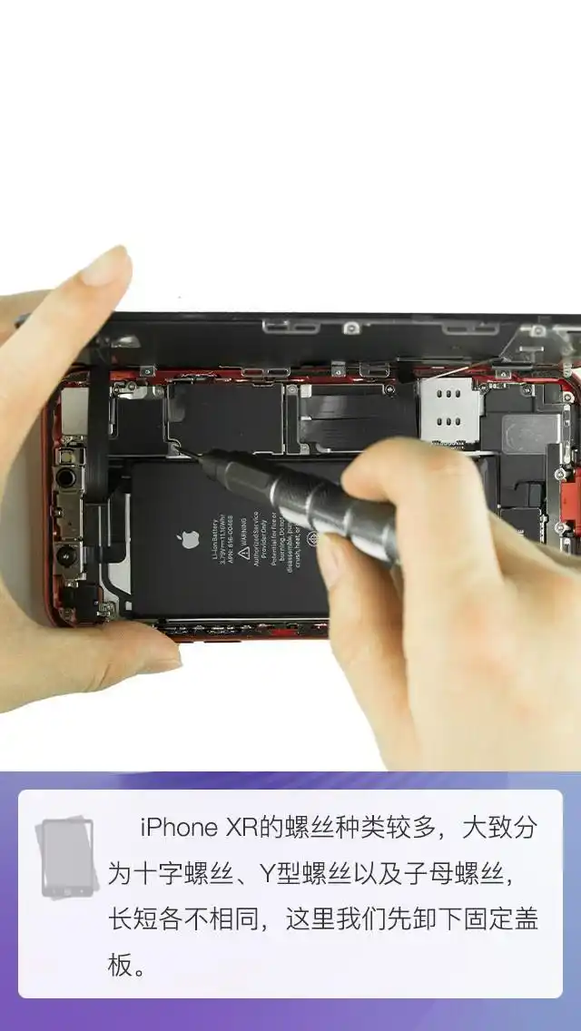 iphonexr拆机图解