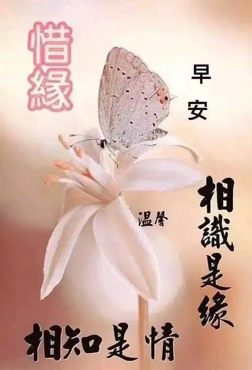 正月十六清晨早上祝福图片带字温馨早晨阳光暖心的问候图片带字