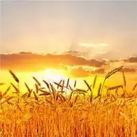 阳光向上风景自然头像 充满正能量的风景头像_微信头像图片大全