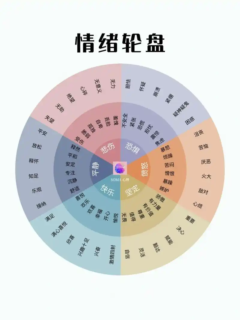95接纳自己从理解自己的情绪开始|情绪轮 92昨天的分享提到,提高