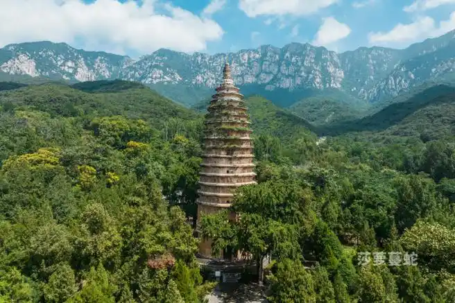 航拍#位于河南省郑州市登封市嵩阳街道太室山南麓嵩阳景区嵩岳寺内