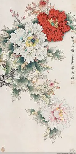 郑乃珖工笔花鸟精品集