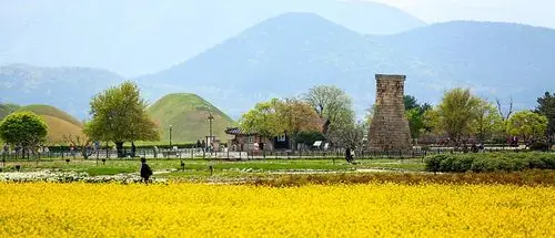 韩国庆州油菜花田两日游(庆州,普门湖,绝美湖畔)