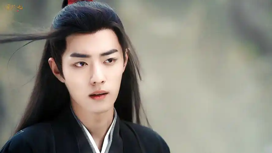 陈情令|魏无羡 - 堆糖,美图壁纸兴趣社区