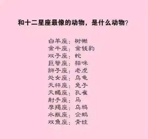 十二星座的幸运宠物是什么?_巧兔教学