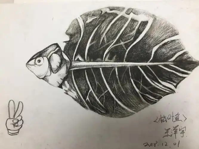 写美篇      学习训练排线,细致刻画物体是素描绘画素材积累的重要