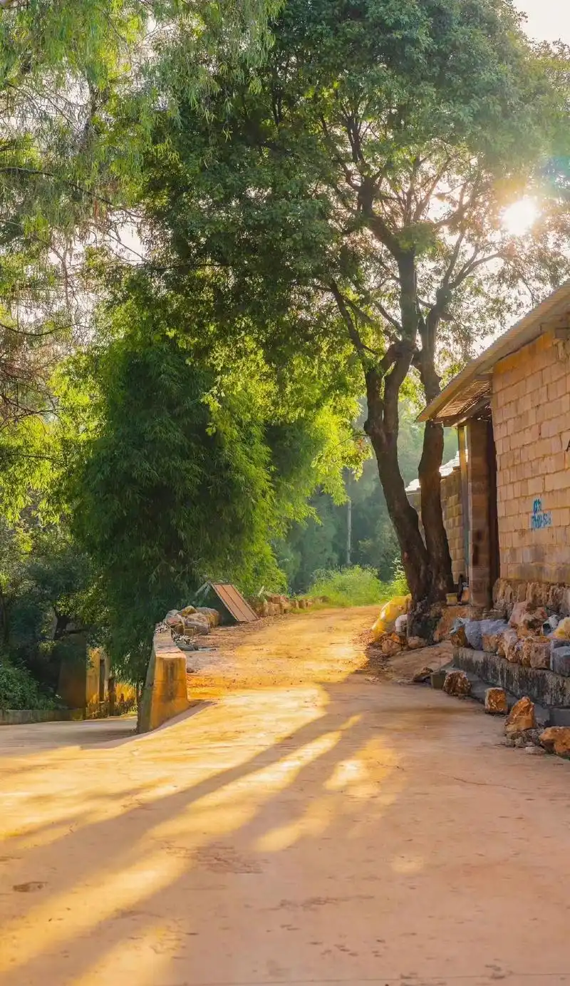 农村的早晨,好美啊!