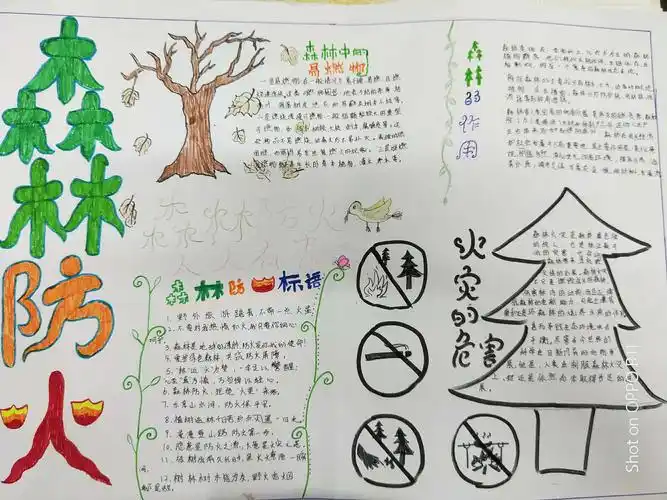 精准德育第三期:森林消防教育之手抄报比赛