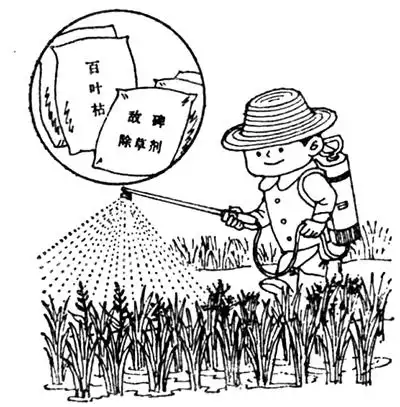 化学除草剂为什么能除去杂草