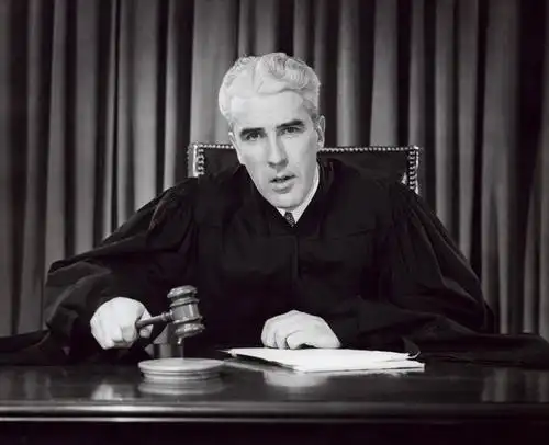 头,嘴,脸颊,肩,关节,一个人,法官,坐,横图,室内,特写,智慧,窗帘,欧洲