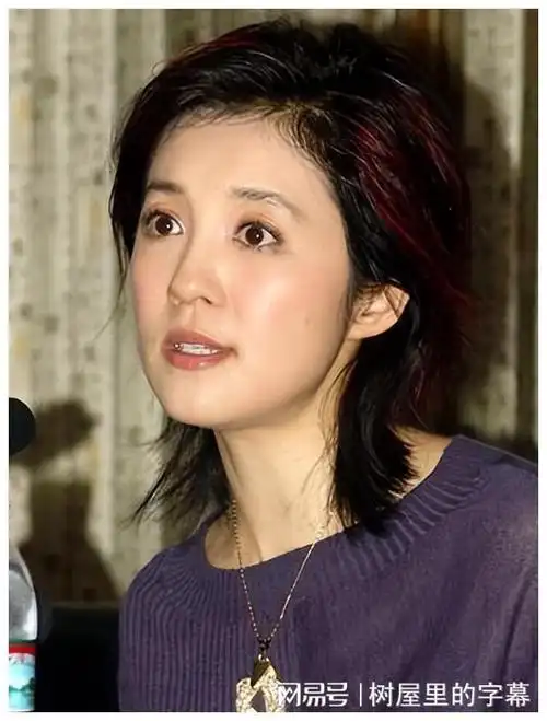 为娶前央视知名主持人,富豪丁健给前妻一亿离婚费,孩子也给她了|肖桦