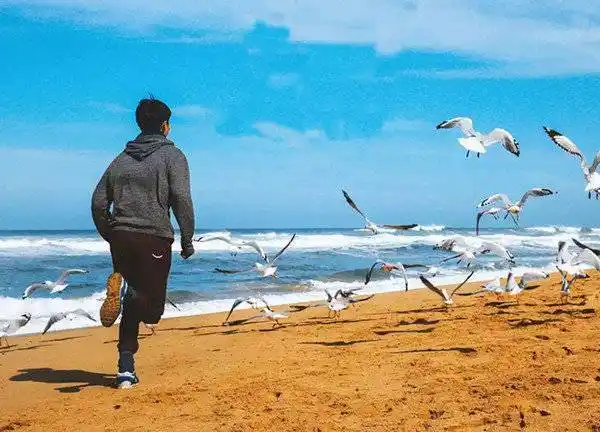 回到少年回到赤脚奔跑在乡间小路的年代