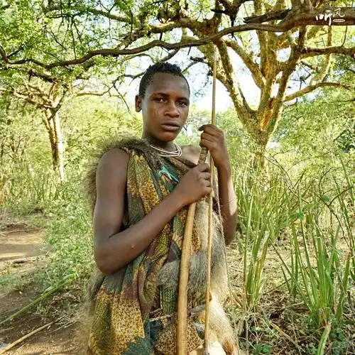 其它 原始部落,哈德扎比 写美篇        行摄非洲己发三组专题片子,均