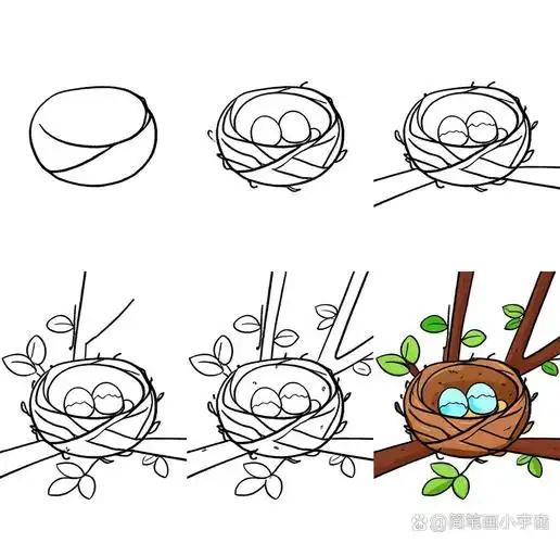 🐦鸟巢简笔画🎨