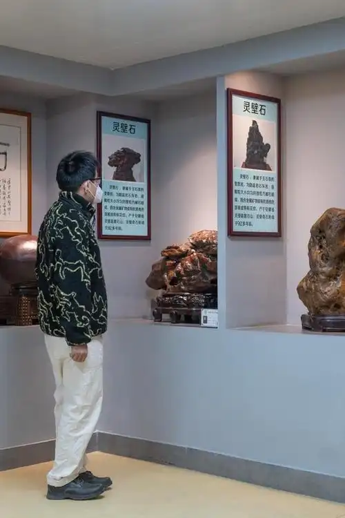 今天我就带你去看一个石头博物馆,他就是深圳的结缘奇石博物馆