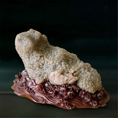 奇石欣赏《戈壁奇石-动物》