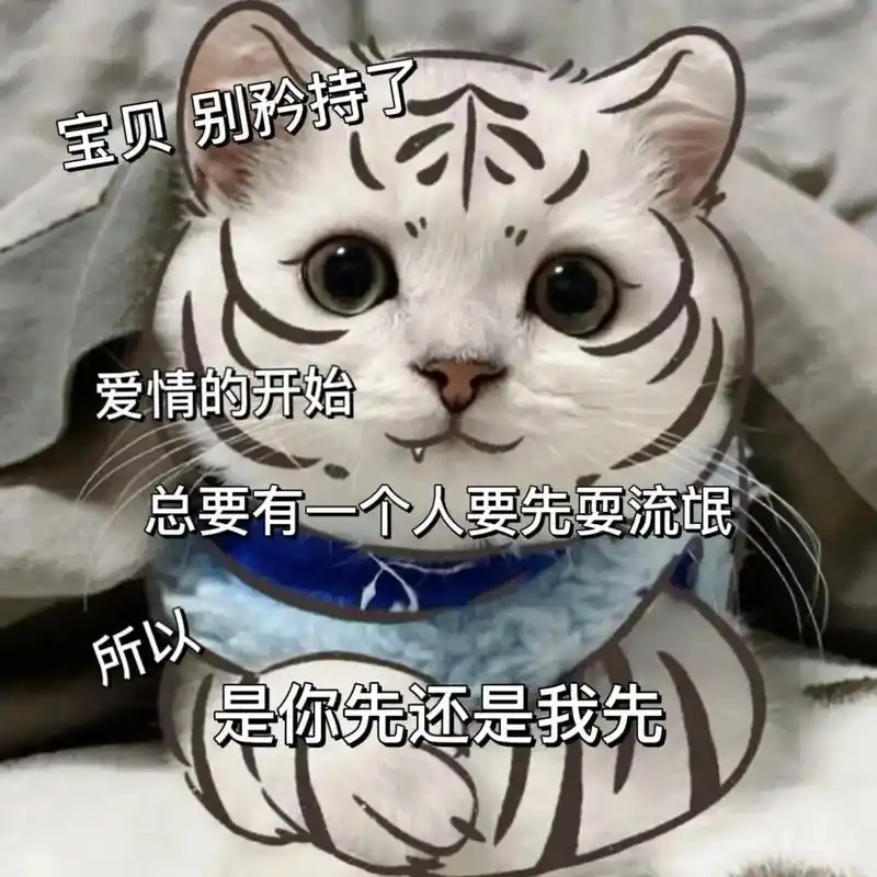 超可爱表情包.#情侣日常 #发给对象表情包 #表情包 #每帧 - 抖音