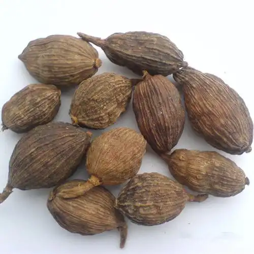 草豆蔻的功效与作用草豆蔻是一种中药虽然味道会略苦口