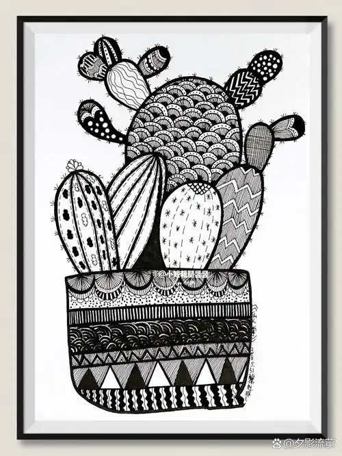 线描黑白装饰画 《仙人掌🌵》