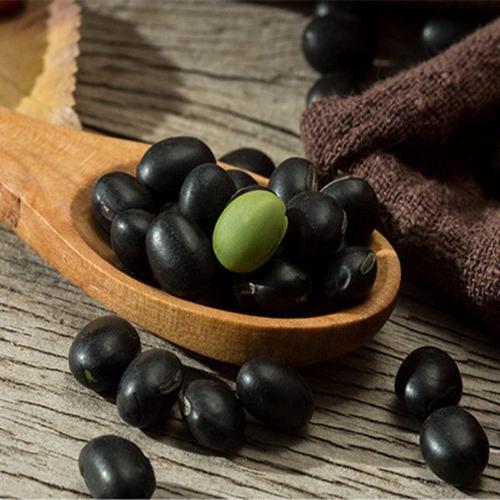 绿芯黑豆 绿心黑小豆 农家东北黑豆五谷杂粮 [绿芯黑豆 1斤装](适合一