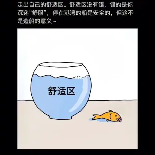 走出自己的舒适区舒适区没有错