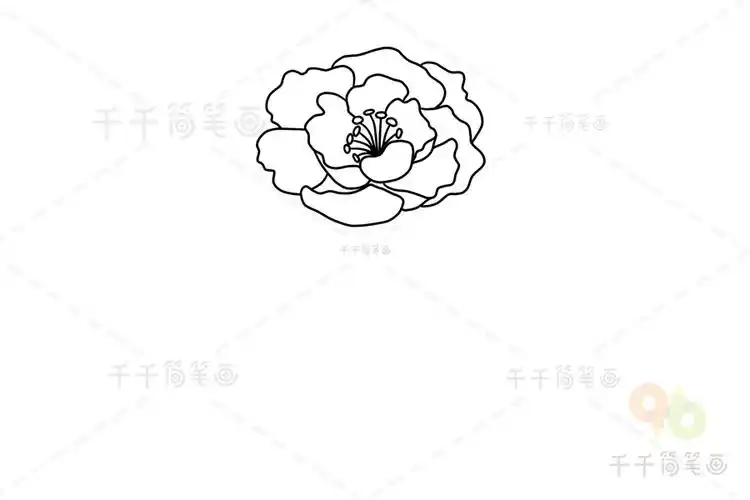 芙蓉花简笔画画法