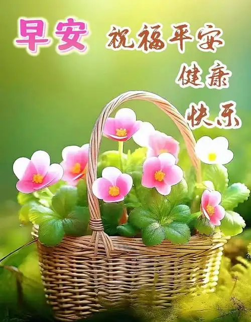 最新版早安问候祝福语图片带字,温馨漂亮的早上好祝福图片|快乐|清晨