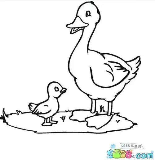 鸭子妈妈和小鸭子简笔画作品分享