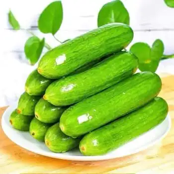 新鲜水果黄瓜 小黄瓜当季时令蔬菜山东农家脆嫩旱生吃玉女青瓜 9斤【