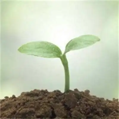 充满希望唯美意境图片充满希望的微信图片唯美