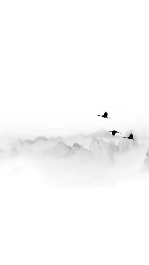 十有八九总会离套图 肥莹 古风 温婉 水墨 背景 qq 网名 个签 男