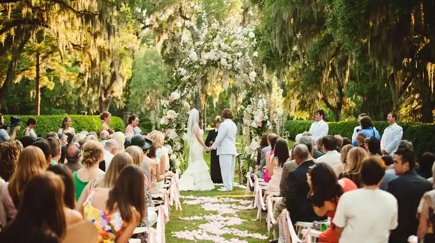 爱真棒:影视服务自选平台