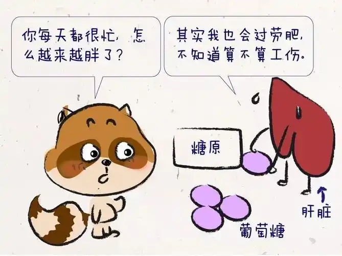 血糖高的人,肝脏需要不停的"加班",将多余的"糖"转化成脂肪,容易诱发