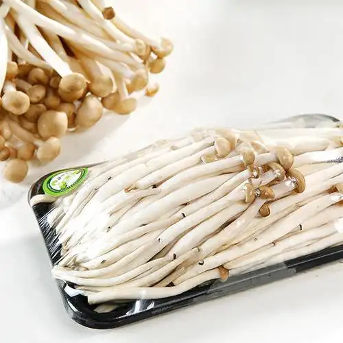 海鲜菇300g盒绿色无公害