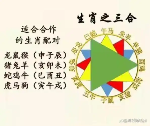 说到十二生肖(十二地支)的合的关系,我们最常接触到的是三合与六合