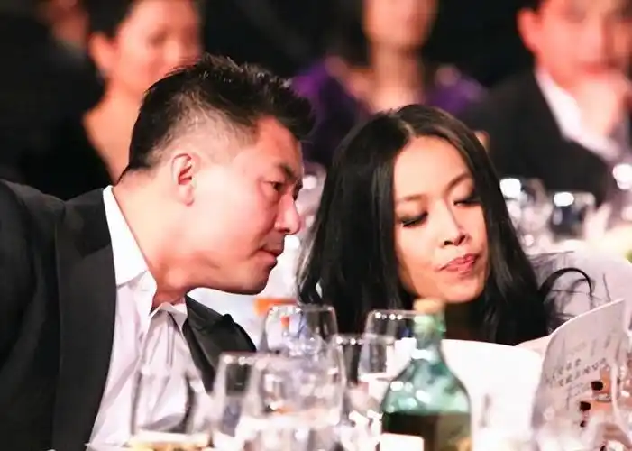 那英儿子几岁哪一年出生(那英高峰儿子个人资料)