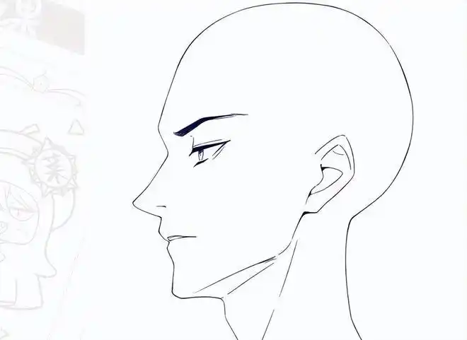 动漫人物侧脸画法技巧!|轮廓|脸型|椭圆_网易订阅